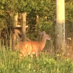 Meet your Posher, Kendra